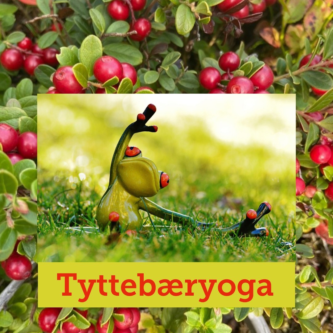 Tyttebæryoga