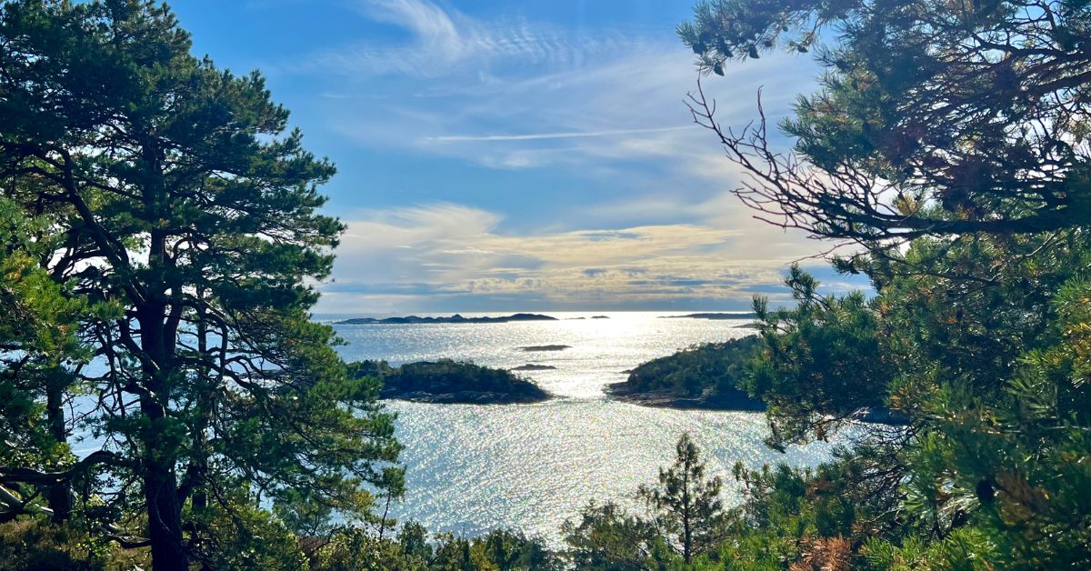 Velkommen til gratis fotokurs med Ti på topp Arendal og Grimstad 1