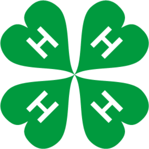 G 3 hovedfarge