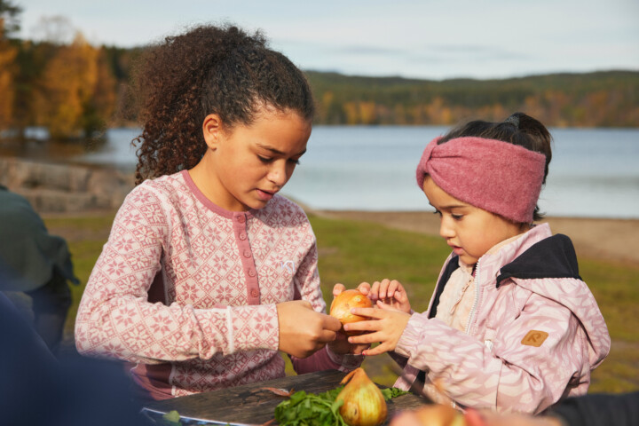 Norsk Friluftskiv jamillasmat 224 1