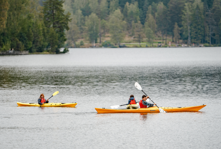 Skjermbilde 2025 11 10 094541