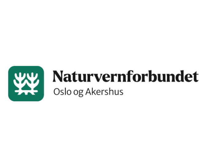 Skjermbilde 2025 11 20 131712