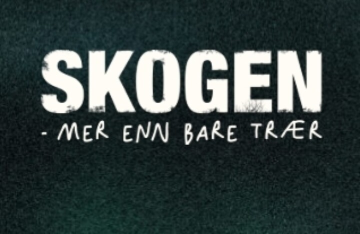 Skjermbilde 27 5 2025 114732 skogglede no