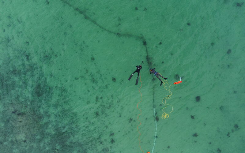 Dronebilde av dykkere i vannet utenfor Sommarøy
