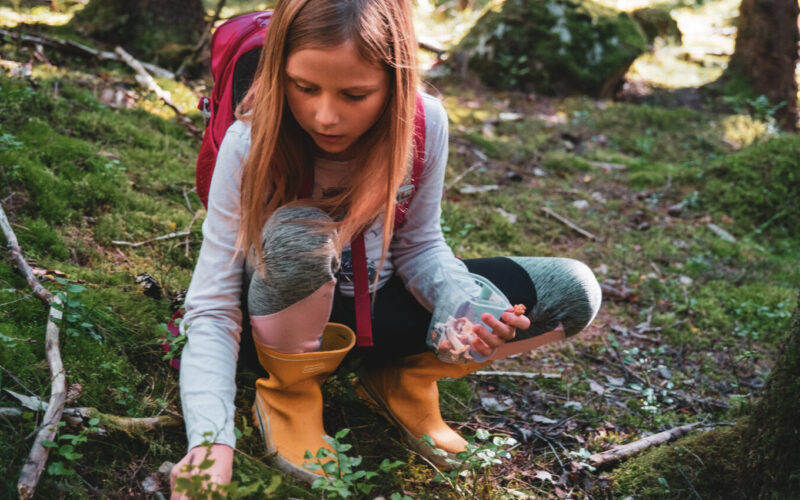 Jente plukker sopp i skogen