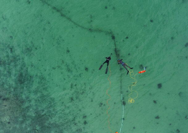 Dronebilde av dykkere i vannet utenfor Sommarøy