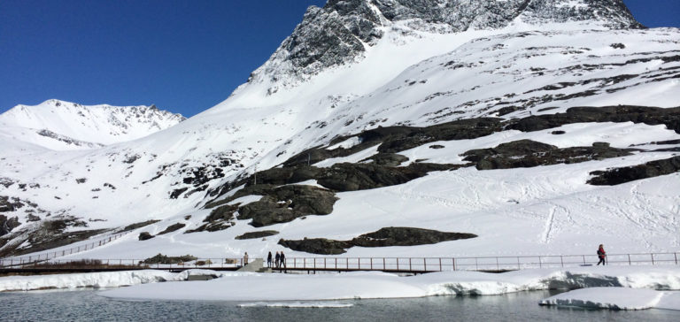 Aarets friluftslivskommune tema intro 2 768x364