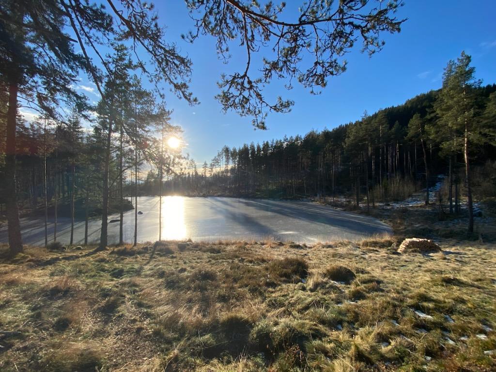 Ardalsbassenget vinter kb