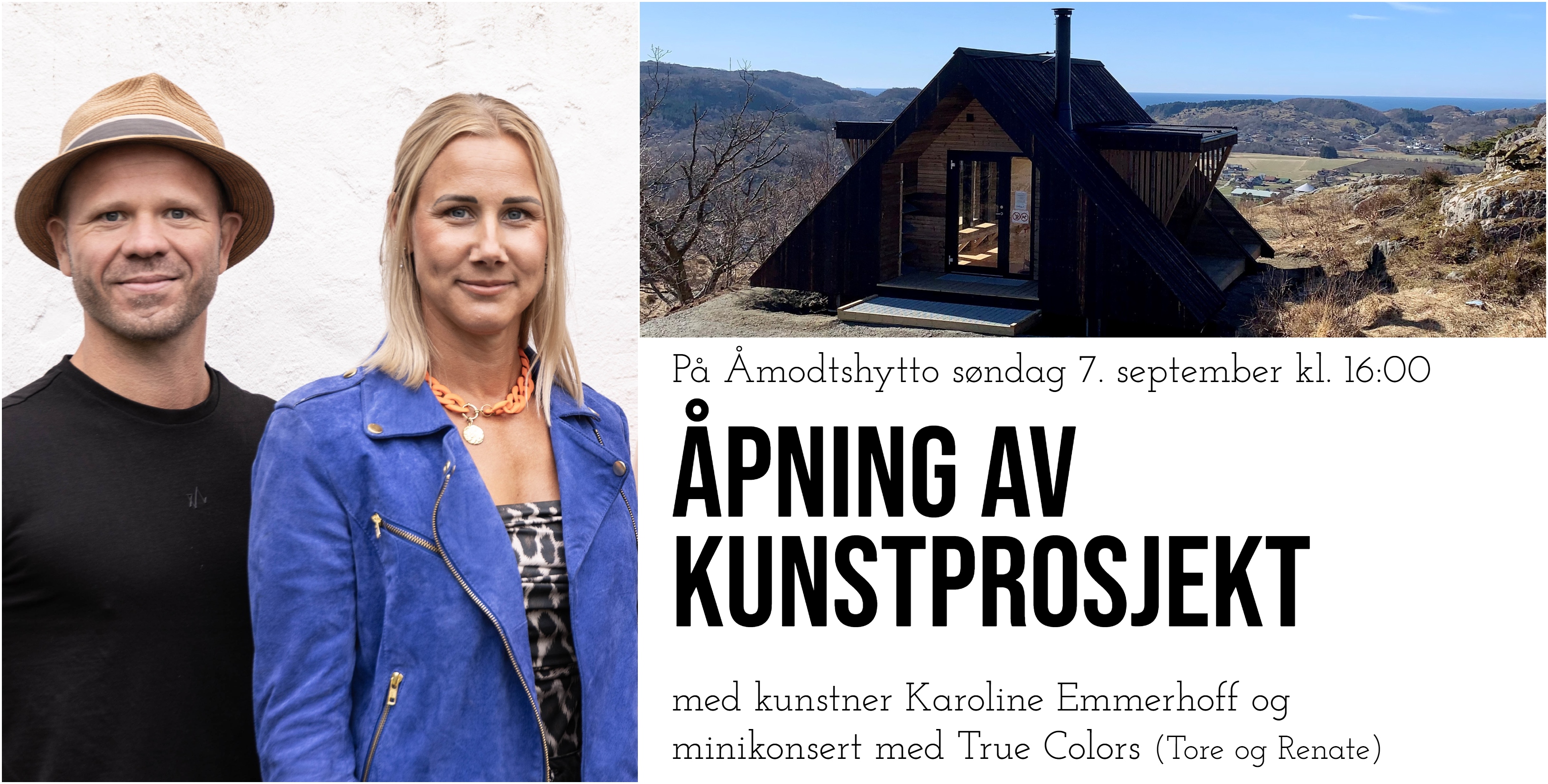 Kunstprosjekt Åmodtshytto