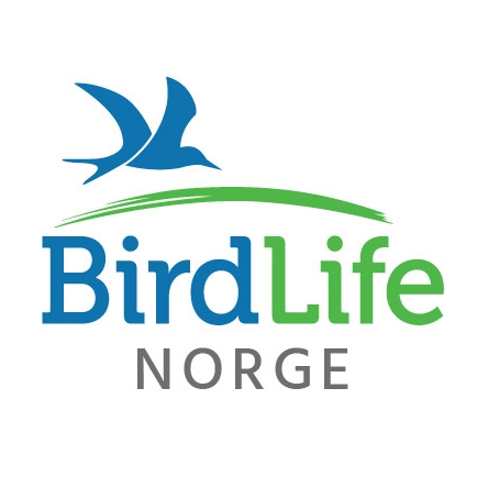 Logo birdlife norge