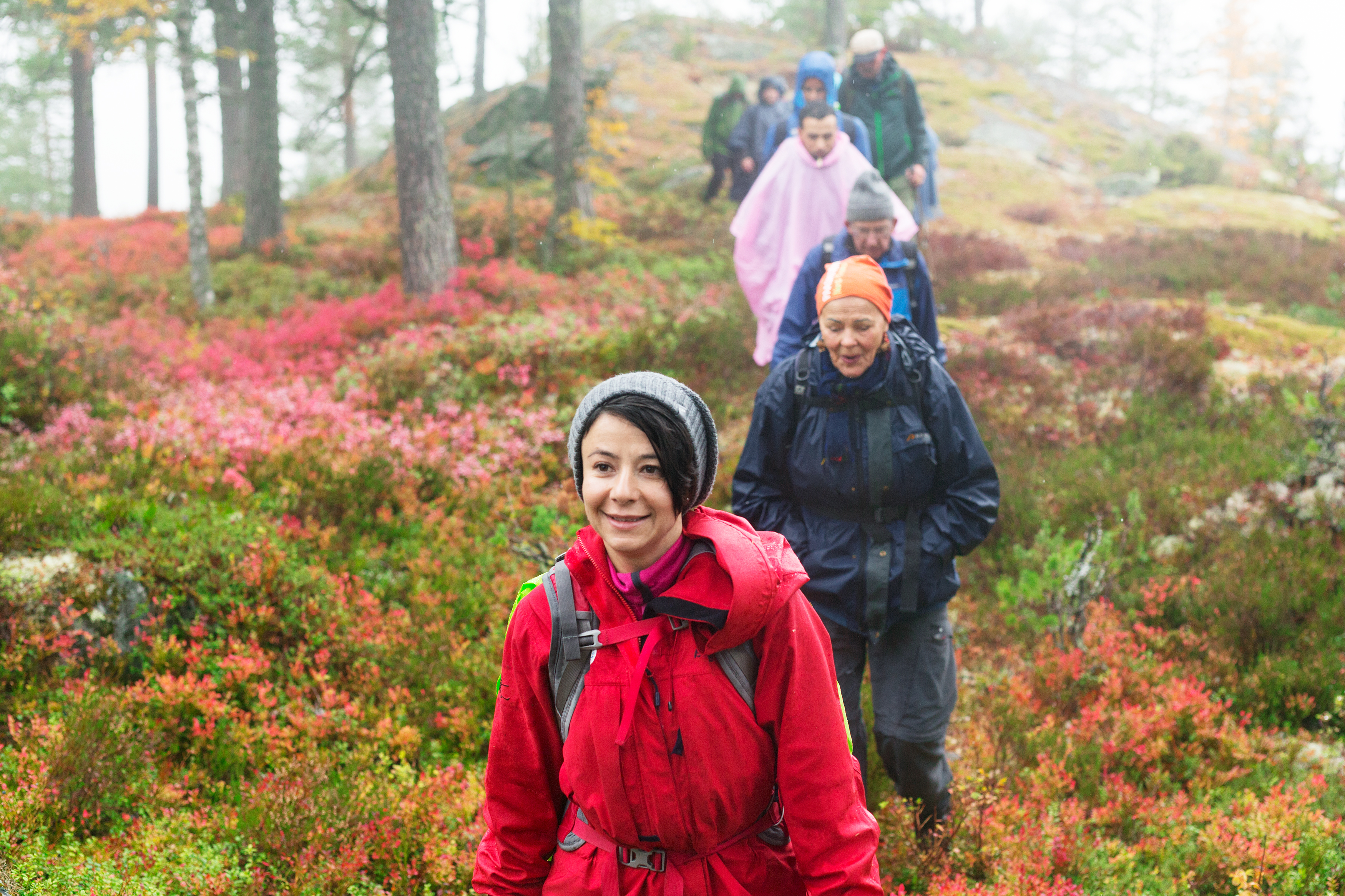 Paulina cervenka havva ince03 1