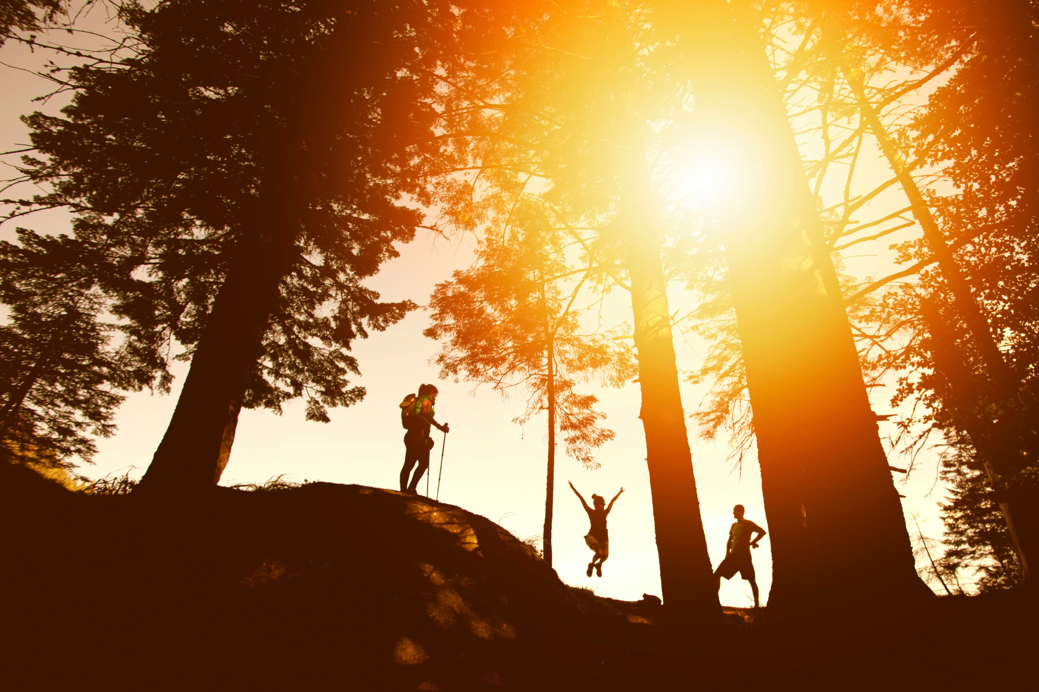 Photo nic x Oig C Uc Fd A8 unsplash