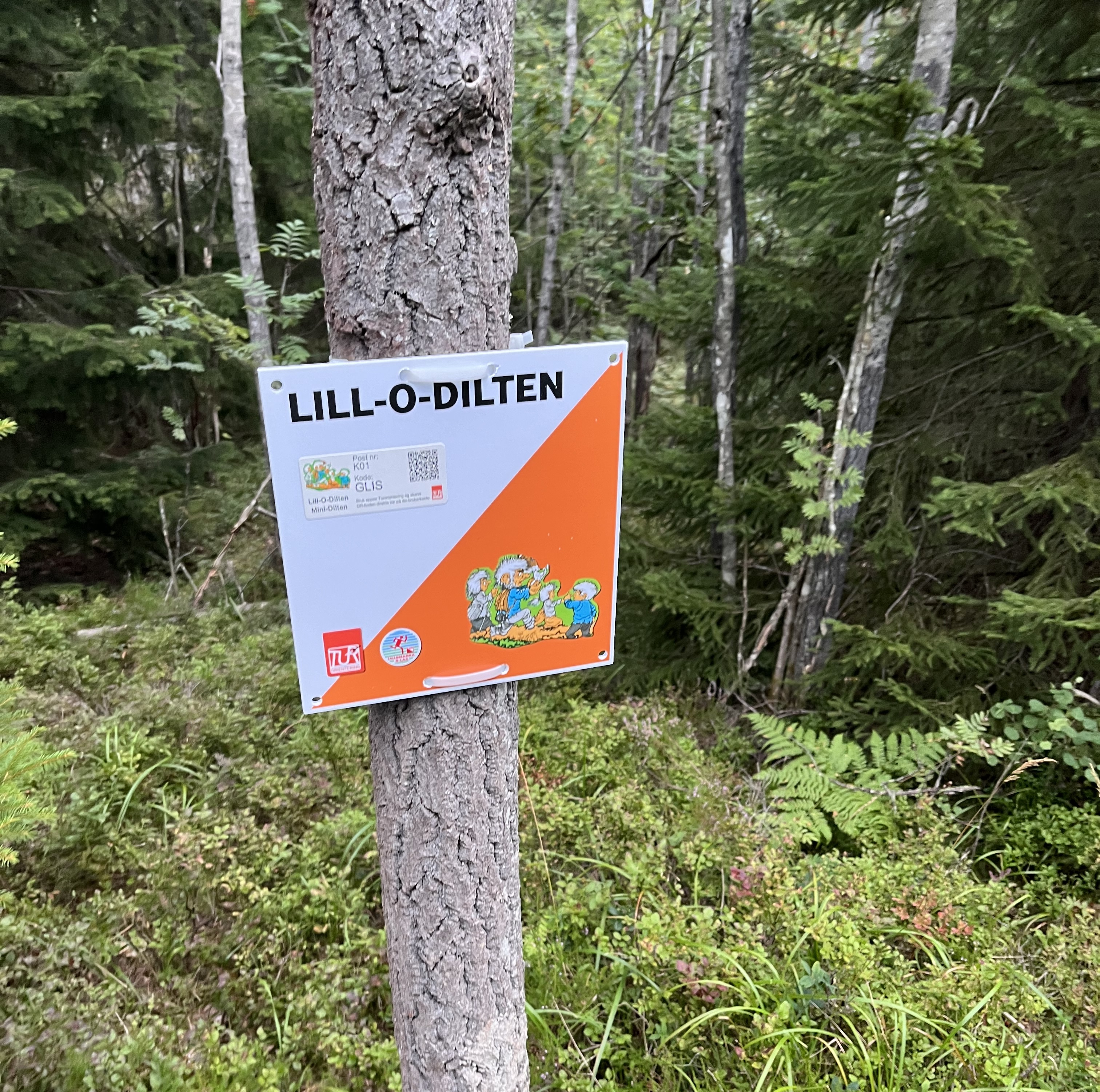 Post lillodilt