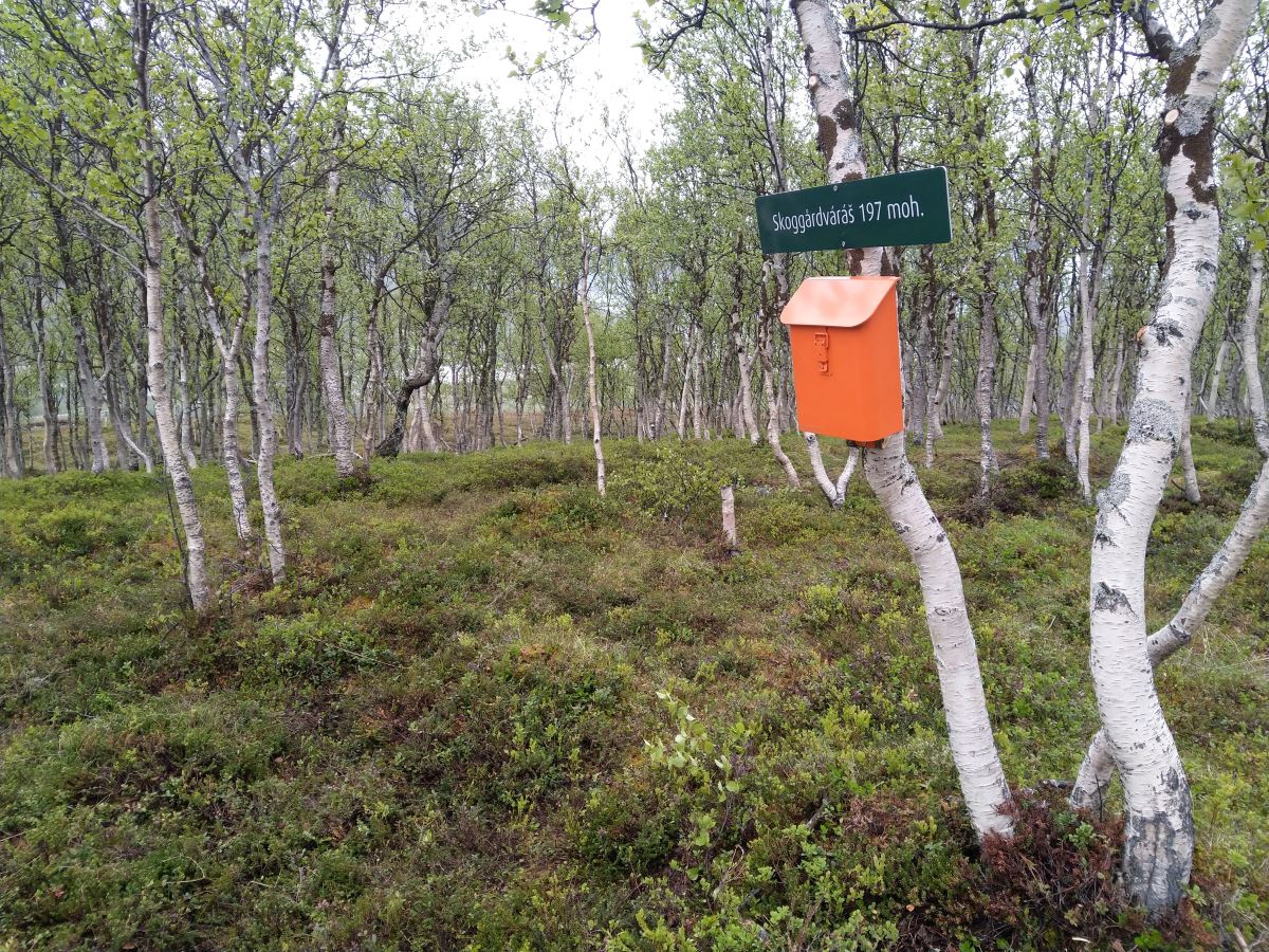 Skoggårdvaras