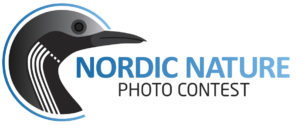 Logo NNPC