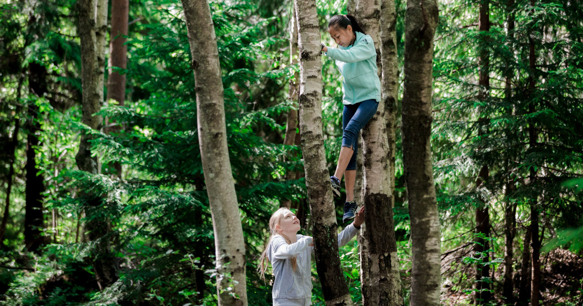 Barn klatrer i trær.